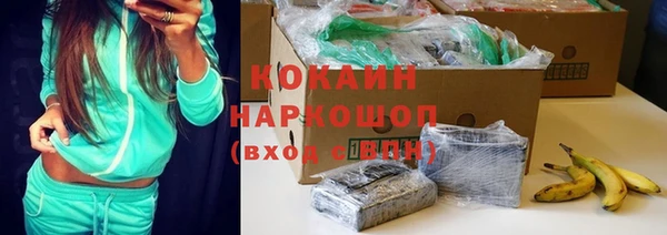 индика Богородск