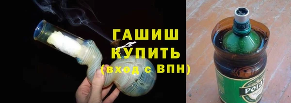 индика Богородск