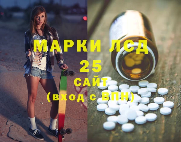индика Богородск