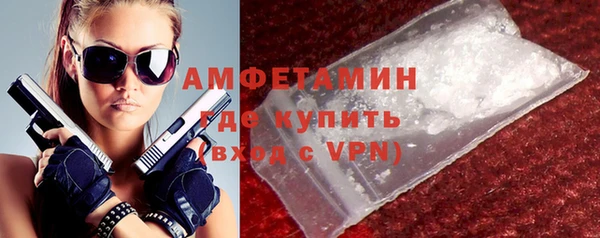 индика Богородск
