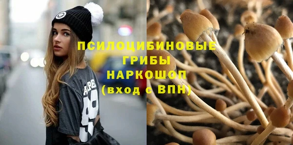 индика Богородск