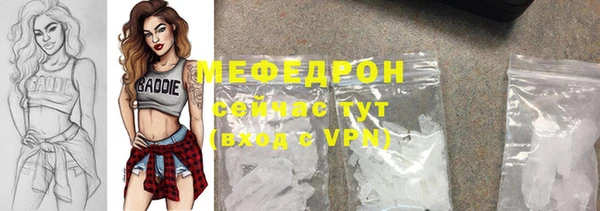 индика Богородск
