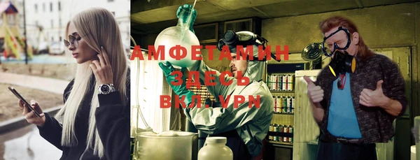 индика Богородск