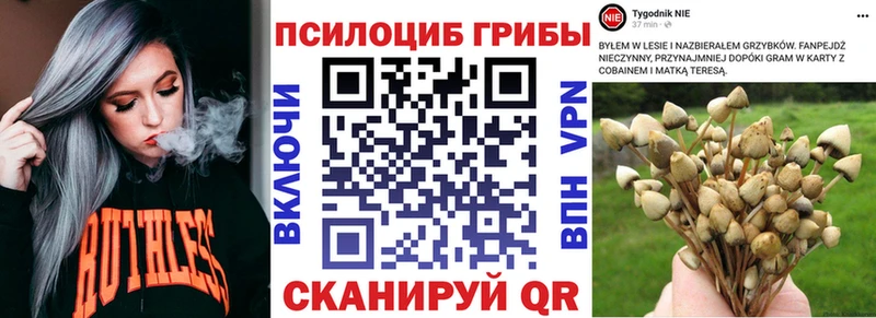 Галлюциногенные грибы мицелий  Купить где  Лермонтов 